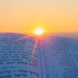 Meet your Posher, Devorah